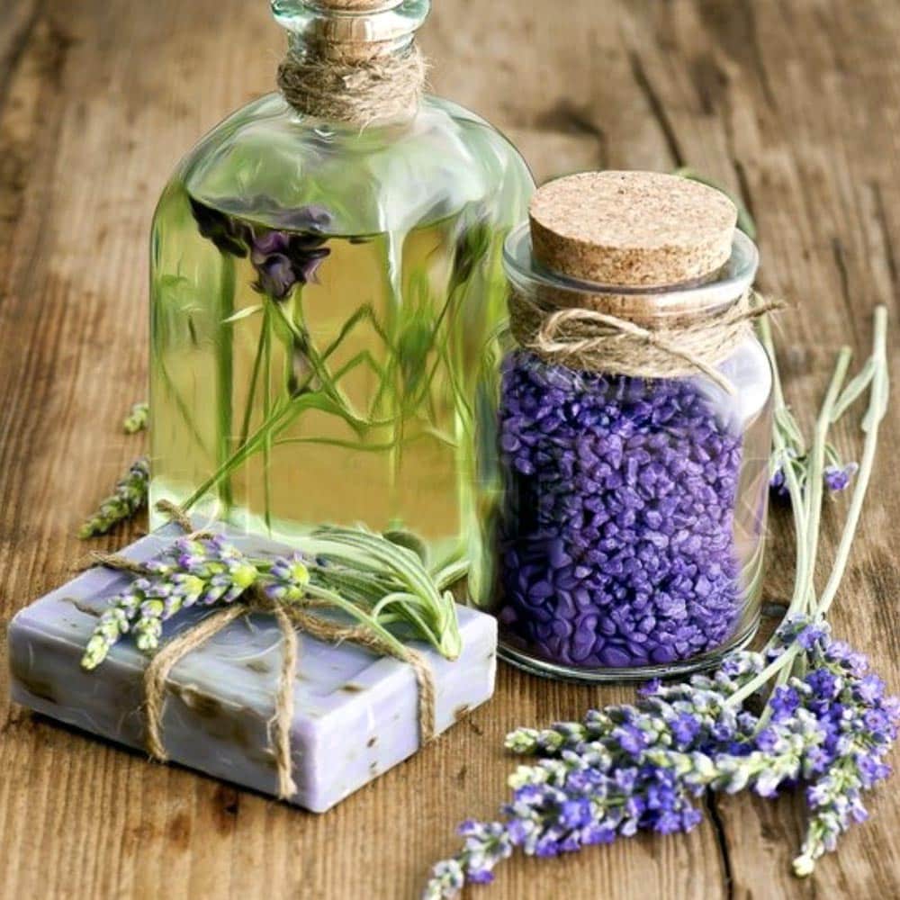 french-lavender-soap2